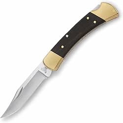 Buck 110 Folding Hunter